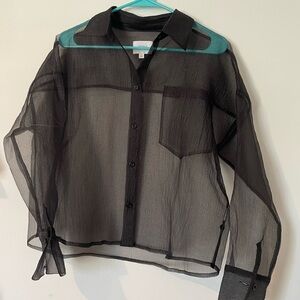 Things Between Sheer Black Button Down Blouse Size Small